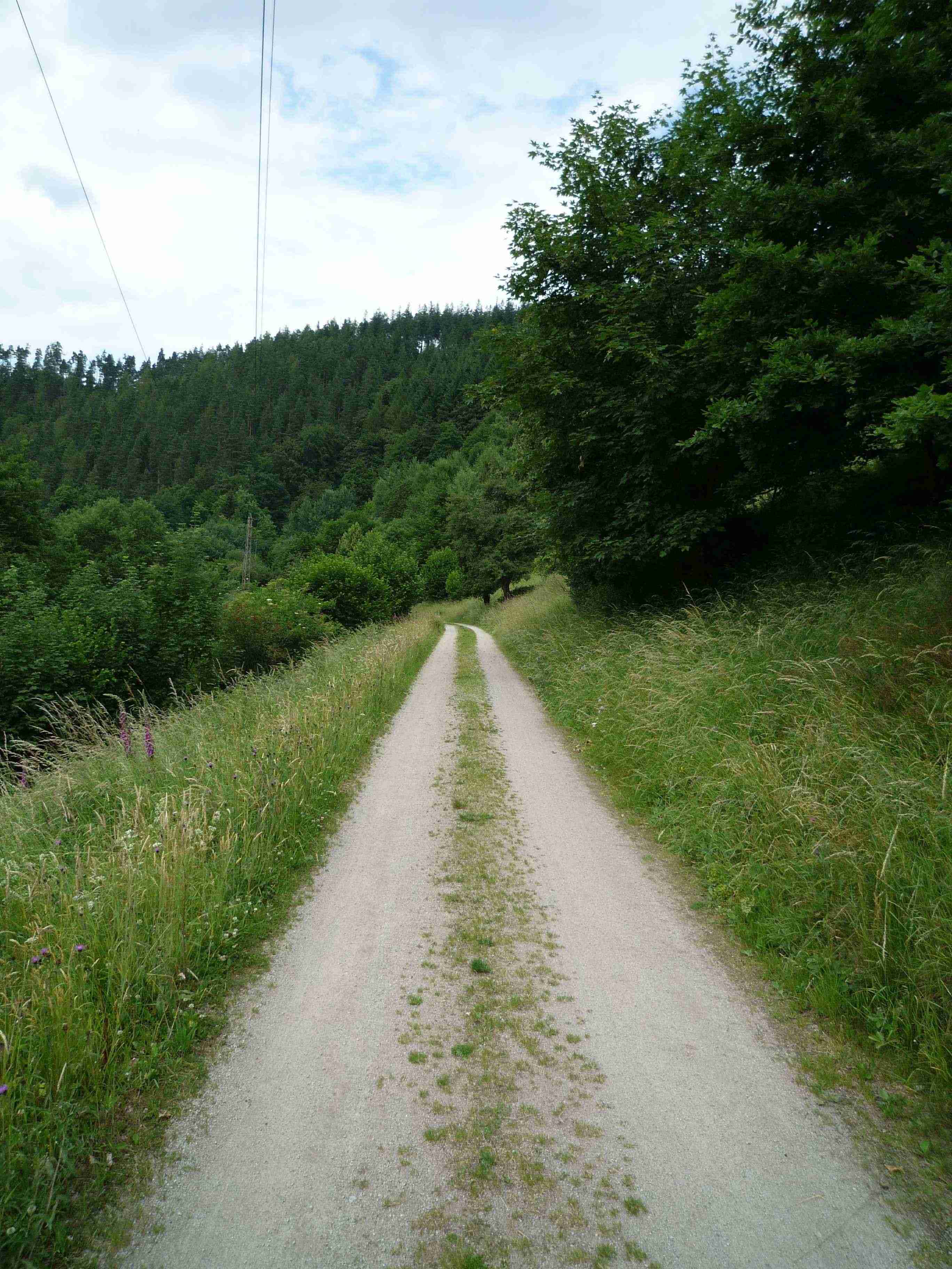 Murgtalradweg.jpg