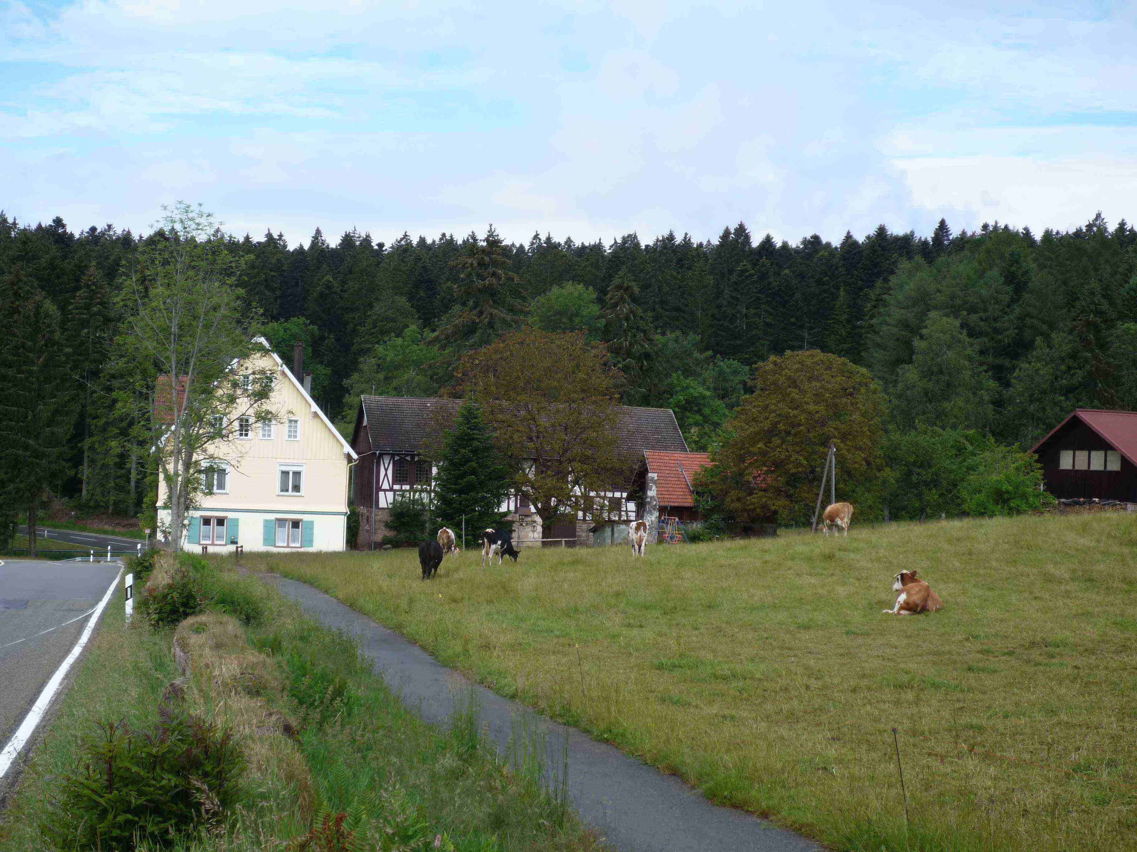 Oedenwald.jpg