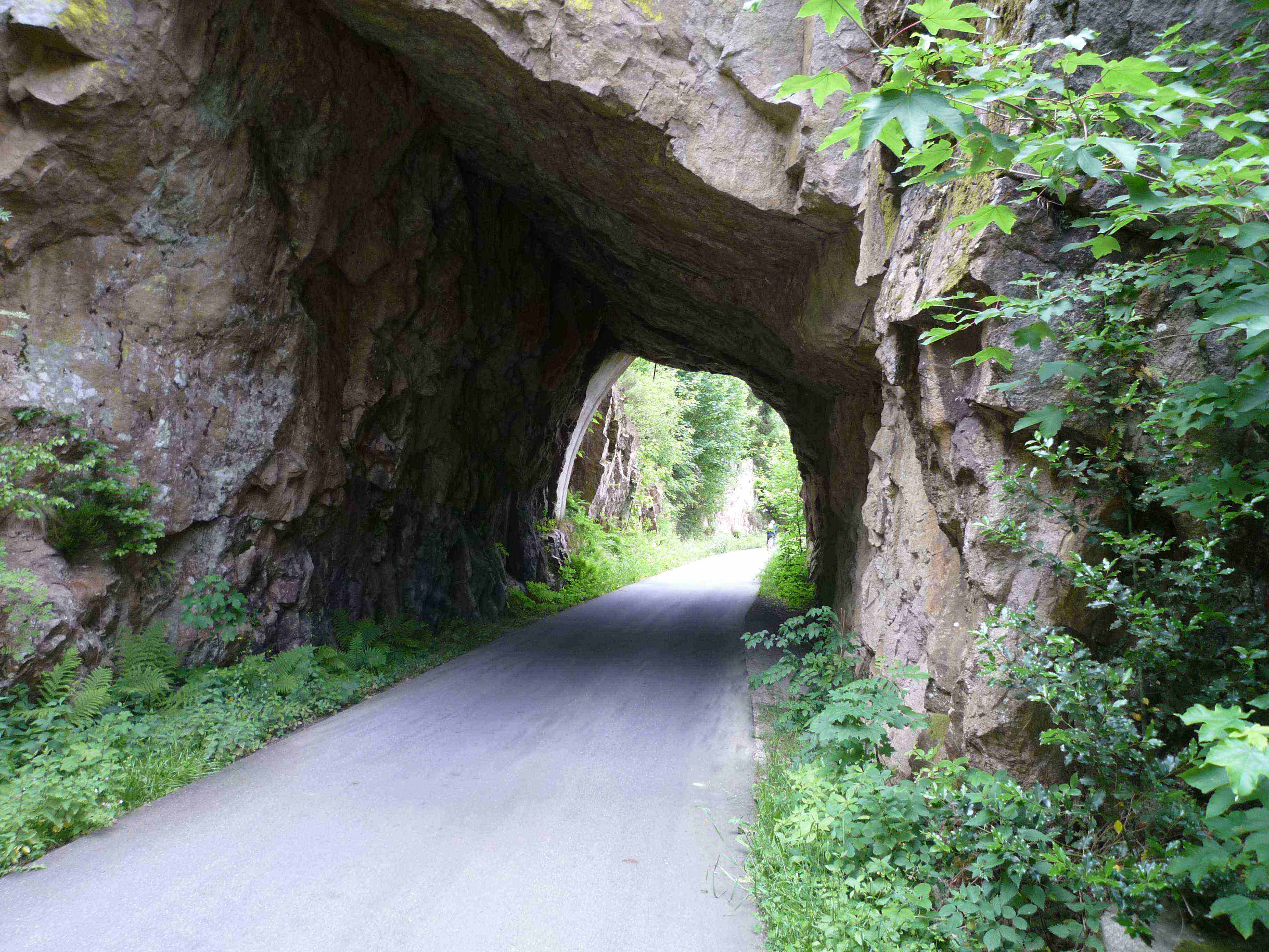 Tunnel2.jpg