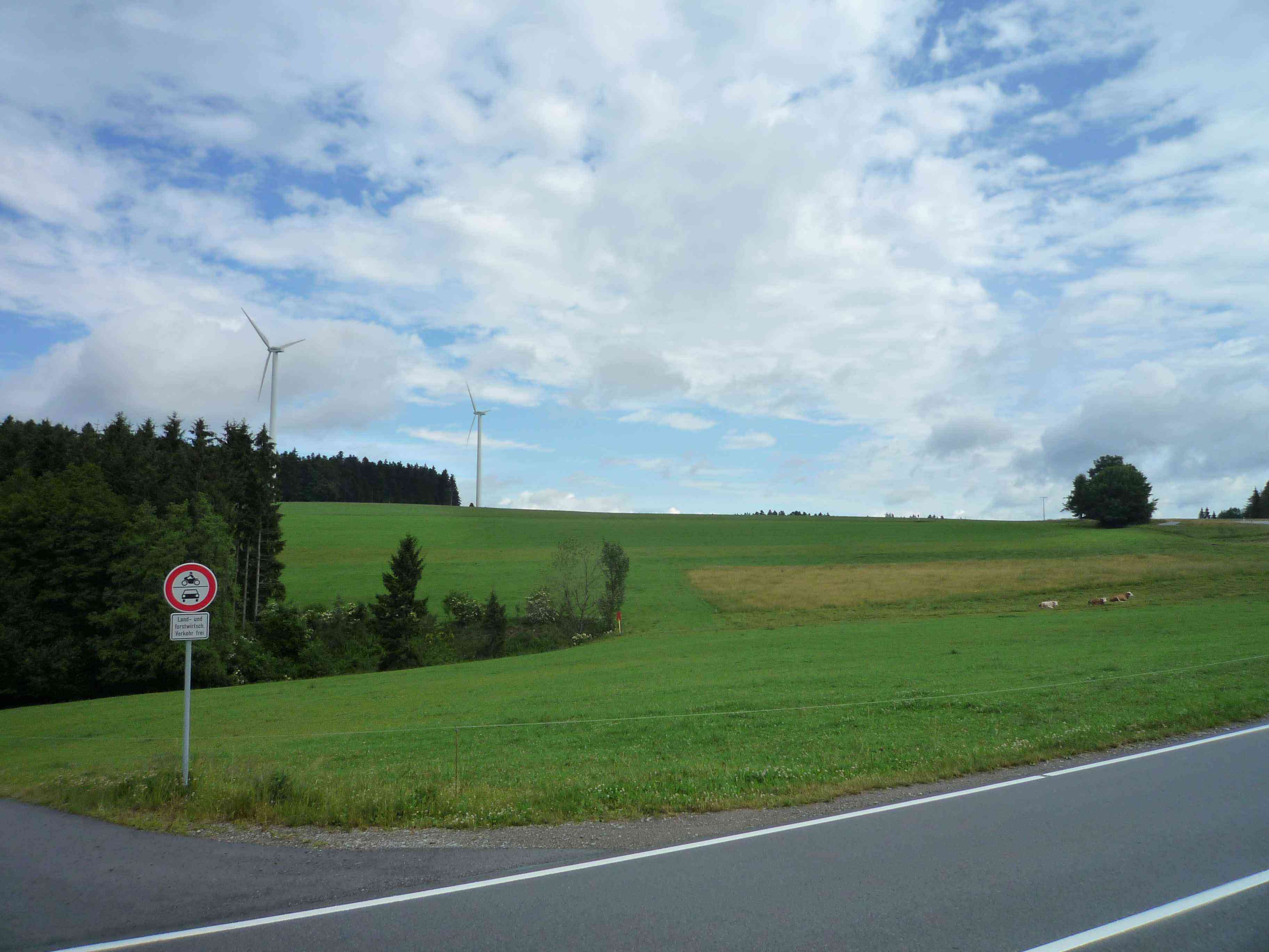 Vogelsberg.jpg