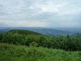 Schwarzwald